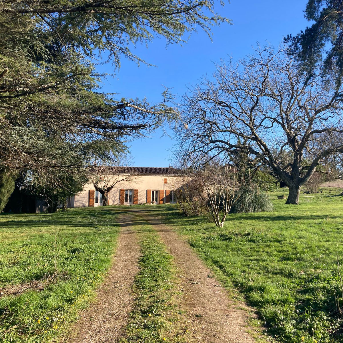 capetlulu